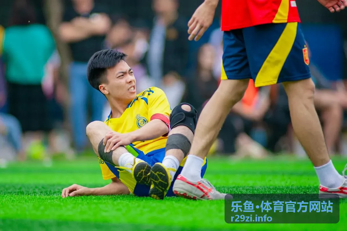 乐鱼·体育官方网站赛事数据图标